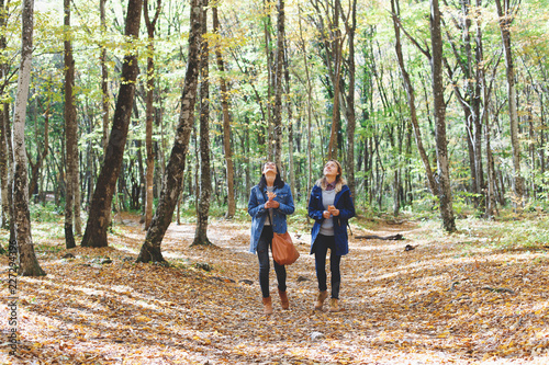 Two young girl friends walking in autumn forest. Girlfriends hiking in the fall.