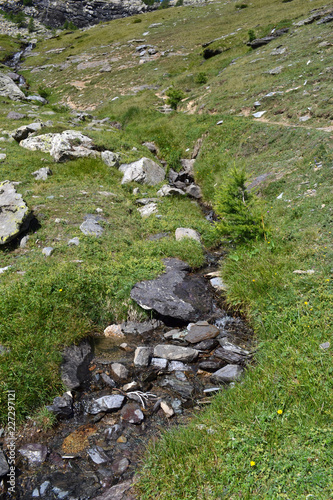 Torrent  Chinchin des Hautes-Alpes longeant le sentier de randonnées de Dormillouse, Parc National des Ecrins, Alpes, France photo