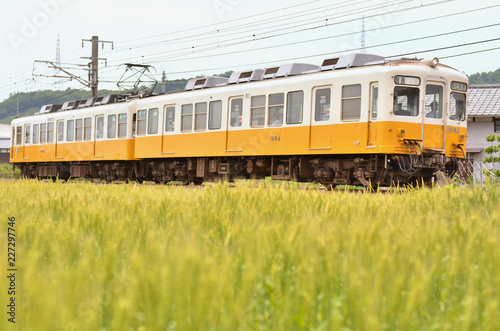 小麦畑とことでん