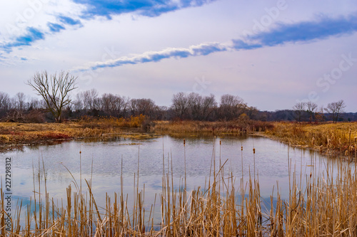 Clouds over wetland © David Hankins