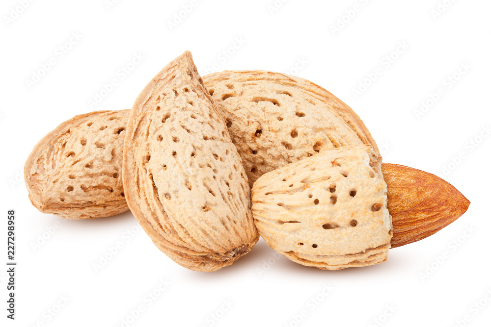 Almond nut in shell isolated on white background, clipping path, full depth of field Almond nut in shell isolated on white background, clipping path, full depth of field