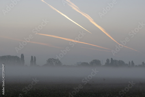 Nebel in Frankenthal  © Vince Scherer 