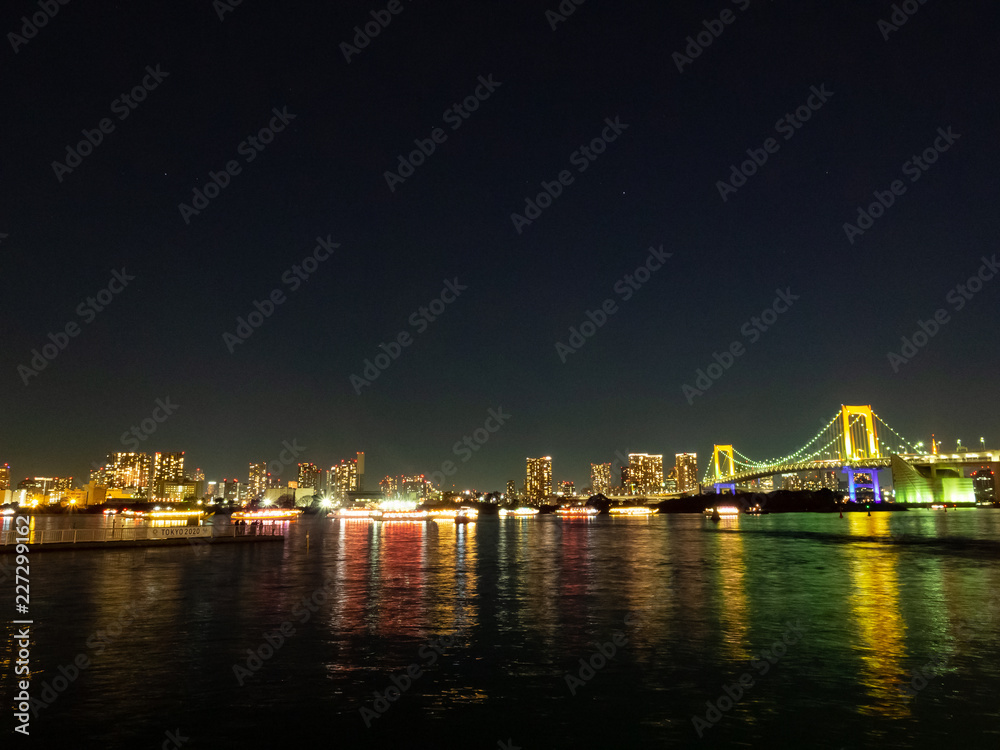 Obraz premium Tokyo Bay at Night