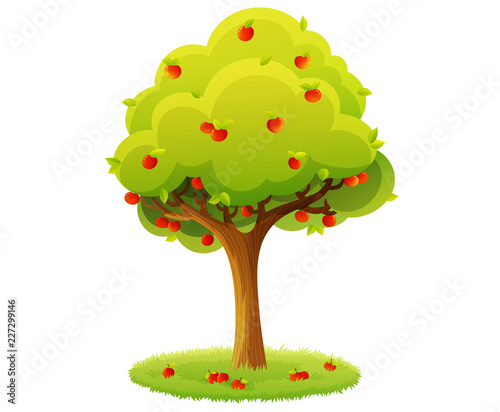 Colorful apple tree with red apples on grass circle isolated on white background. Vector illustration.