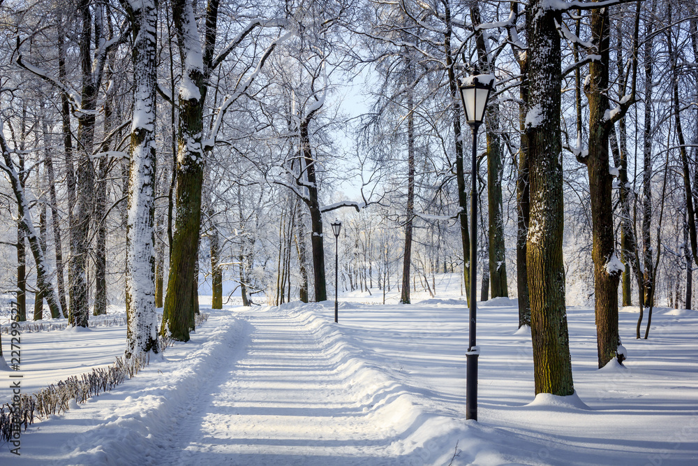 Morning winter frosty landscape in the park. Winter landscape. Severe frost, snowy trees, sunny weather. Beautiful winter seasonal background. Morning winter frosty landscape in the park. Winter landscape. Severe frost, snowy trees, sunny weather. Beautiful winter seasonal background.