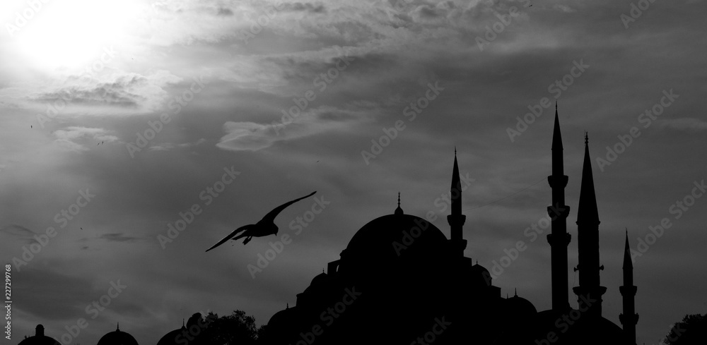 Mosque and dramatic sky