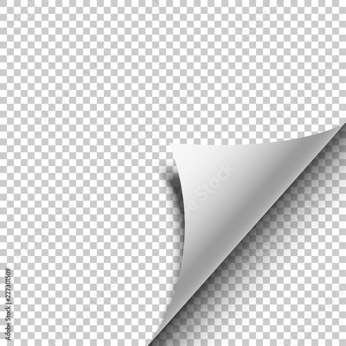 Realistic transparent Curled Corner with shadow. Vector