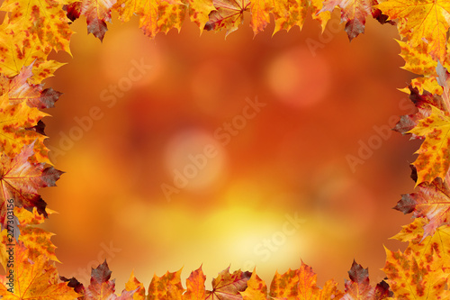 Herbst Hintergrund mit Rahmen aus Herbstbältter