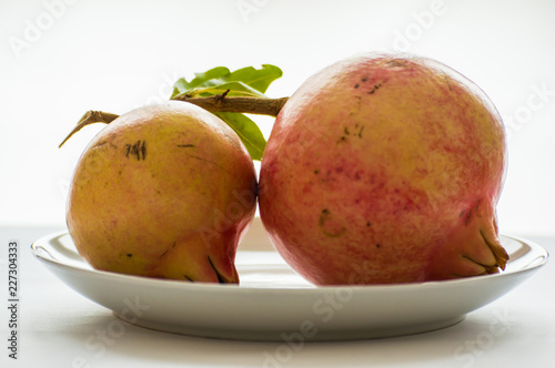Melagrana, arilli, castagne photo