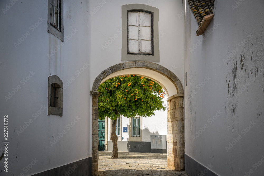 Orange tree in Old Town Faro Portugal