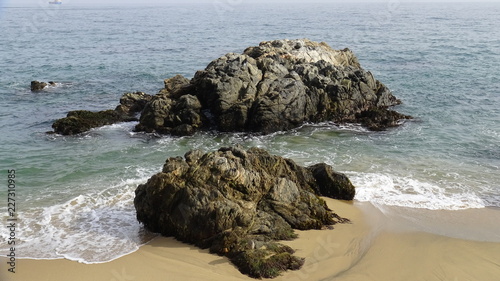 Photography Pelican birds at a rocky beach
