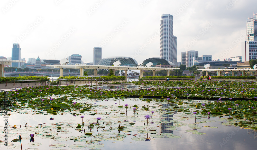 Obraz premium Marina Bay Singapore