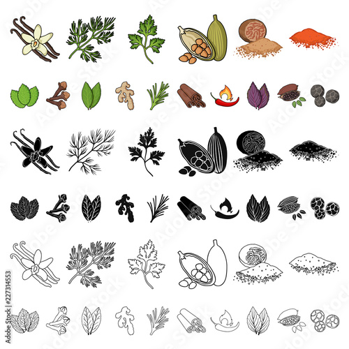 Herb and spices cartoon icons in set collection for design.Different kinds of seasonings vector symbol stock web illustration.