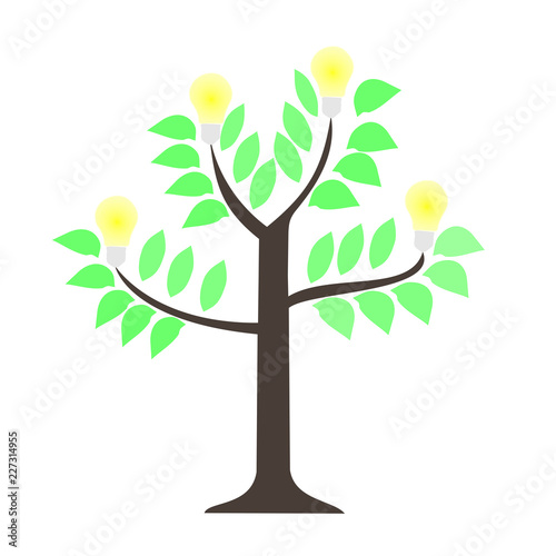 tree trees nature