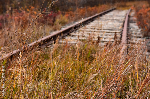 Abandoned Train Tracks 
