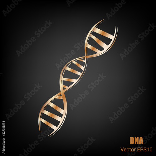 DNA Icon Structure Molecule Science and Biology Logo Symbol in Bronze Metallic Modern Design on Black Background - Vector Illustration