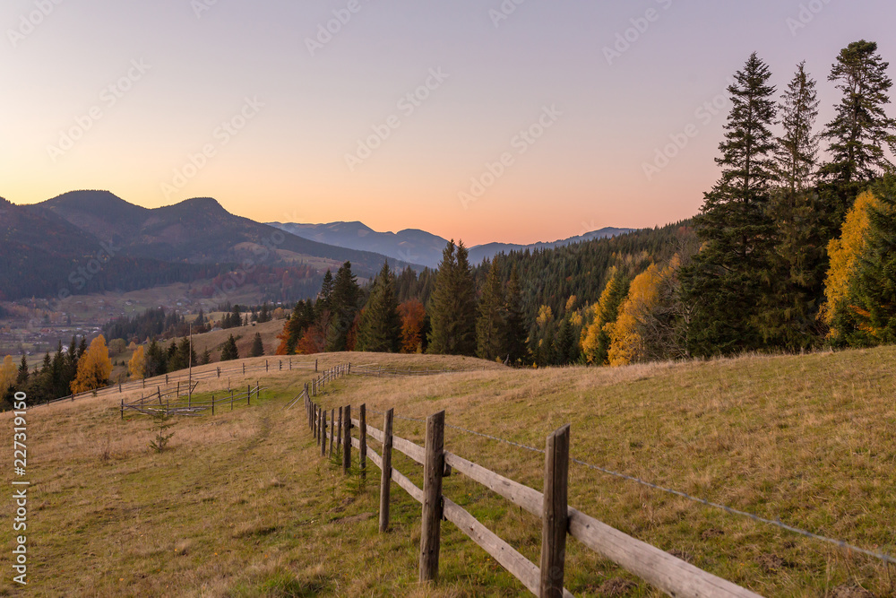 Beautiful autumn landscape with colorful trees at sunset in Carpathian mountains, Ukraine. Red, yellow and green fall leaves