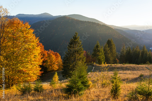 Beautiful autumn landscape with colorful trees in Carpathian mountains, Ukraine. Red, yellow and green fall leaves