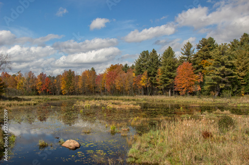 Fall day