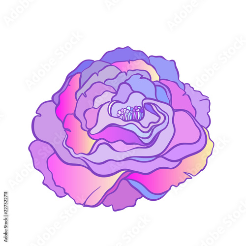 Rose flower in tattoo style  isolated on white background. Vector illustratio...