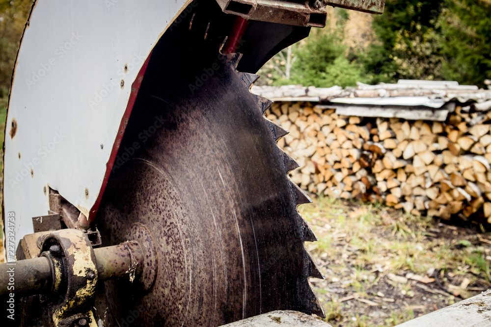 Close up view of circular saw for cutting firewood and stacks of firewood  on the background, outdoors in autumn. Cutting own firewood. Very dangerous  tool. Stock Photo | Adobe Stock