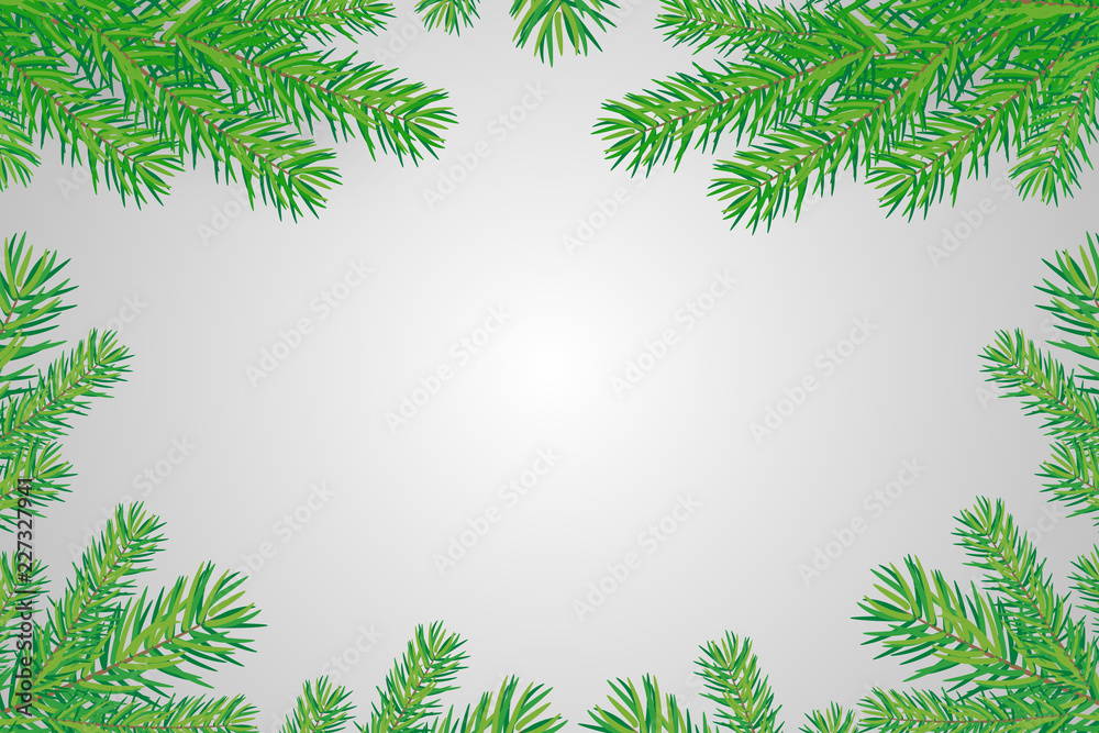  background with Christmas trees branches