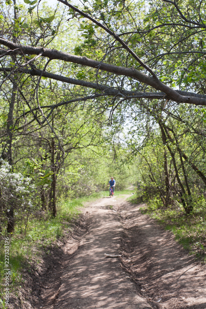 woman walking in forest