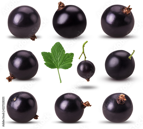 Collection of ripe blackcurrant with leaf