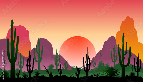 Landscape of rocky desert with cacti. Sunset in a stony desert with cacti