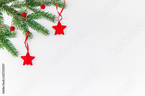 Christmas fir tree branch on white background