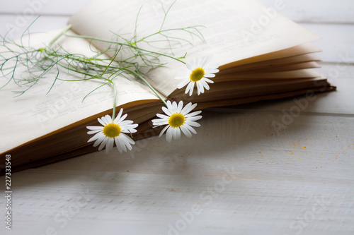 Vintage books with bouquet of flowers.