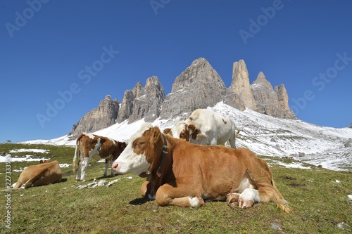 View to the famous Tre Cime di Lavaredo (German: Drei Zinnen). Tre cime are one of the best-known mountain groups in the European Alps. photo