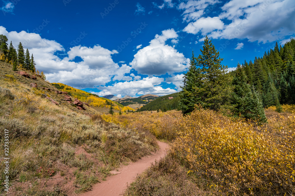 Autumn colours in Cement Creek, Crested Butte, Colorado USA Autumn colours in Cement Creek, Crested Butte, Colorado USA