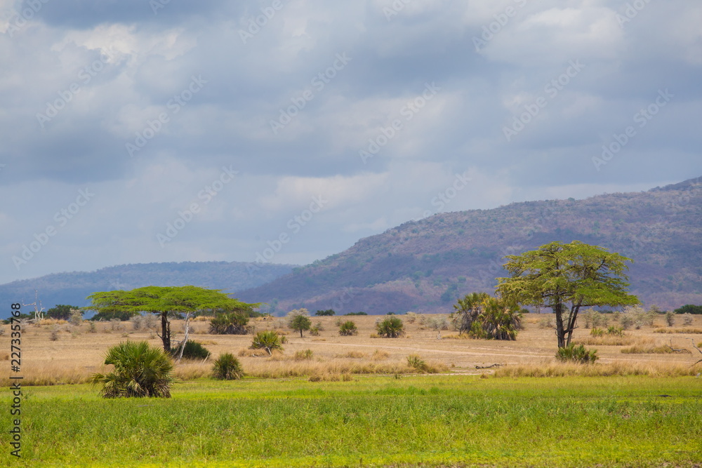 Tanzania. landscape savanna Mikumi