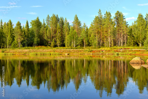 Summer landscape in Finnish Lapland. Reflection in forest lake