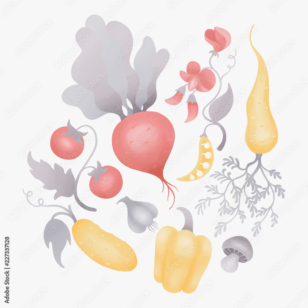 Isolated Vegetables on white background 