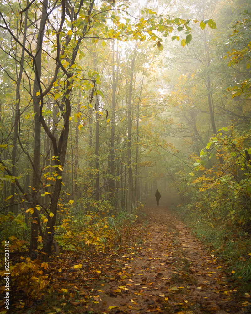 Misty trail in early fall