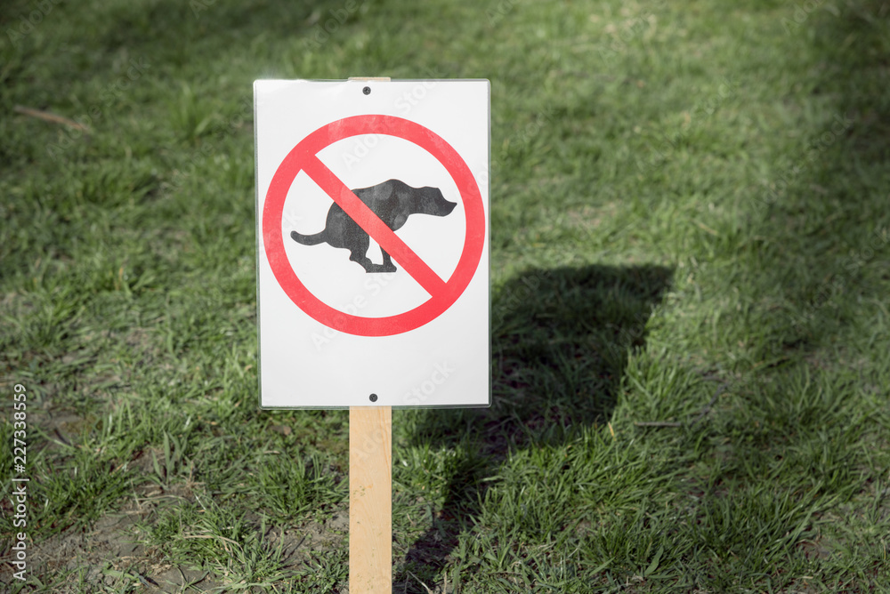 A sign with a pattern prohibiting the walk of dogs on a green lawn. no dog feces. ban on dog walking A sign with a pattern prohibiting the walk of dogs on a green lawn. no dog feces. ban on dog walking