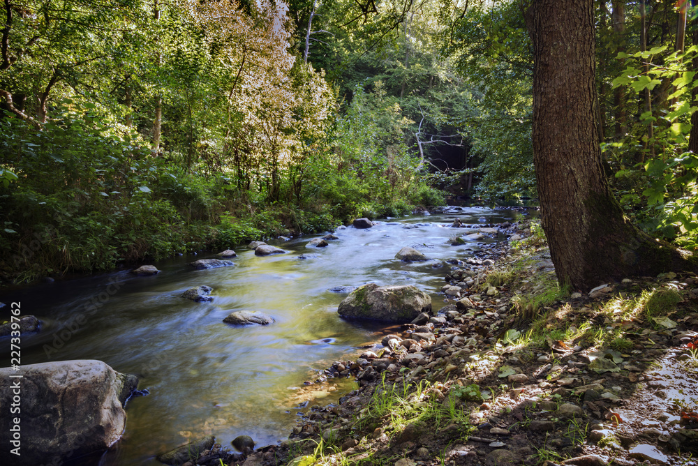 small river in the forest with stones and stream rapids, smooth water by long time exposure, nature background with copy space