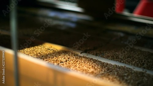 Wheat threshing in factory 4k