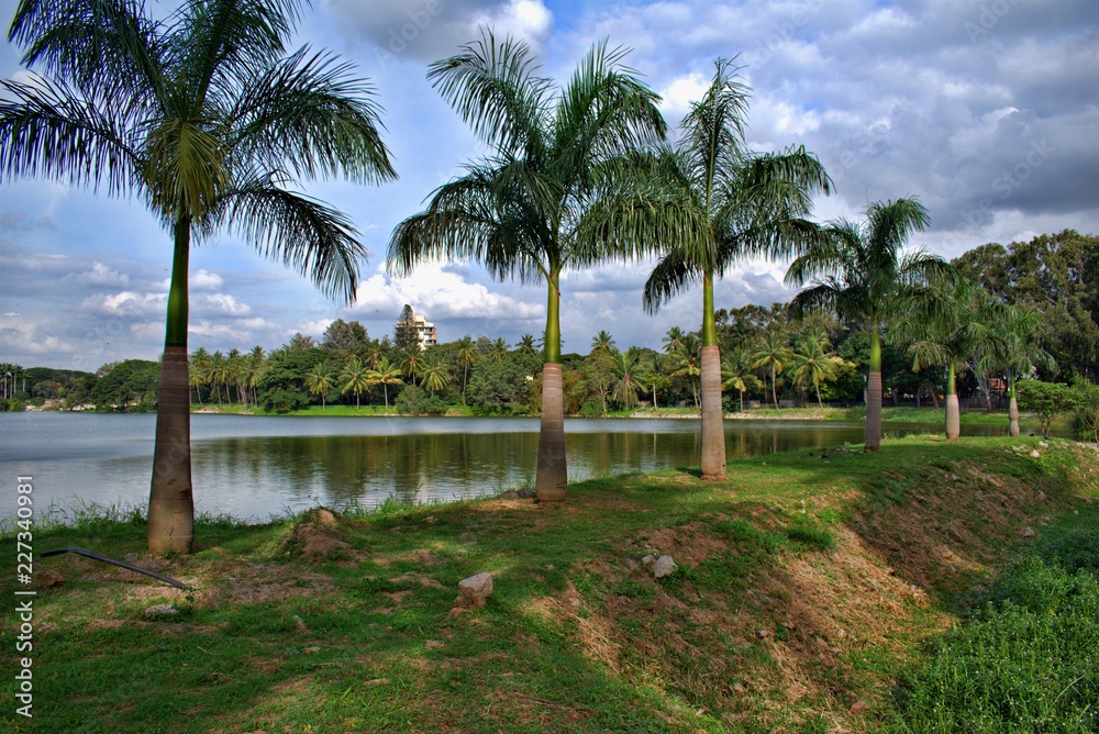 Fototapeta premium BEAUTIFUL VIEW IN LALBAGH