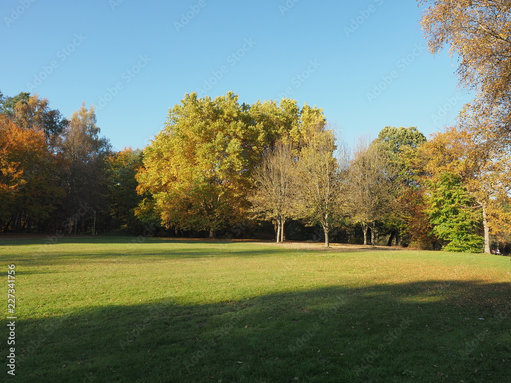 Jägersburger Brückweiher bei Homburg – Jägersburger Weiher - Naturziel im Saarland
Jägersburger Brückweiher bei Homburg – Jägersburger Weiher - Naturziel im Saarland