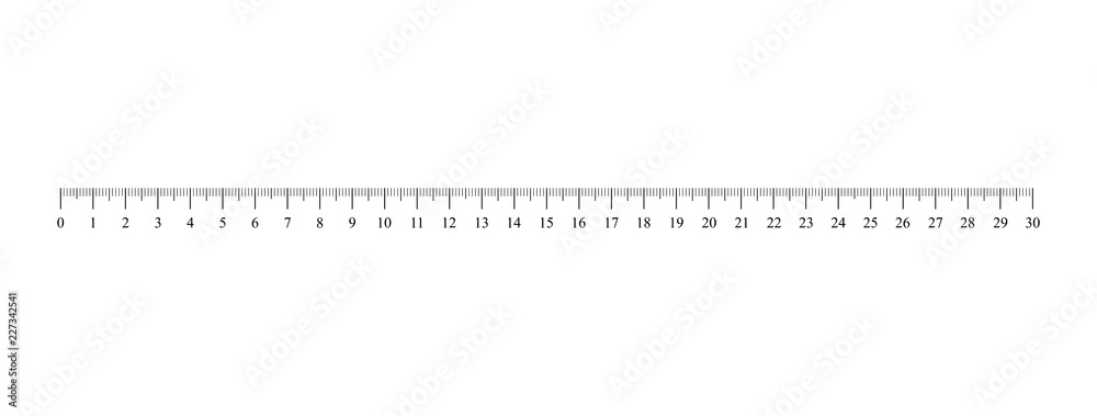 Ruler scale. Vector illustration