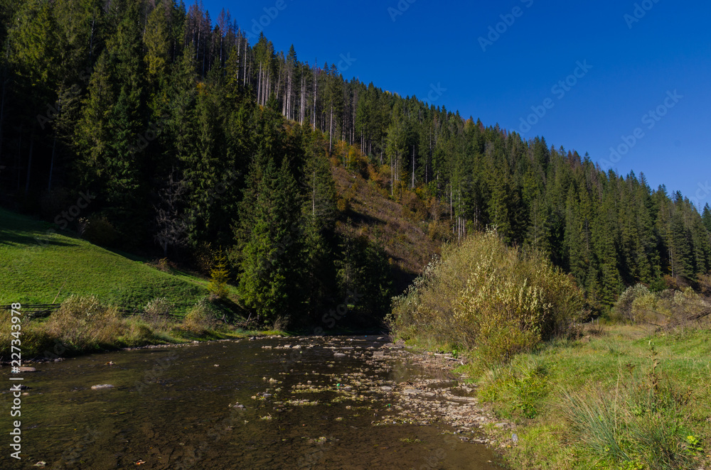 Obraz premium Carpathian mountains in sunny day in the autumn season