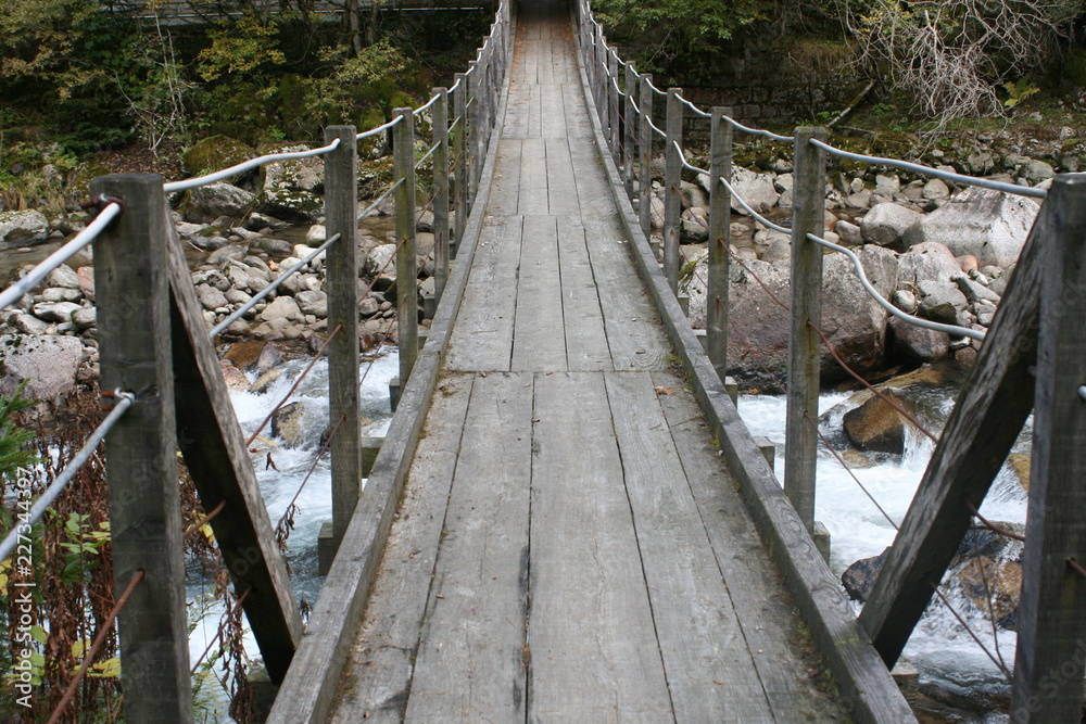 Obraz premium Hängebrücke im Wald