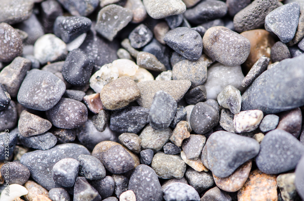 Close up of rocks at a rocky beach in Portland Maine Close up of rocks at a rocky beach in Portland Maine