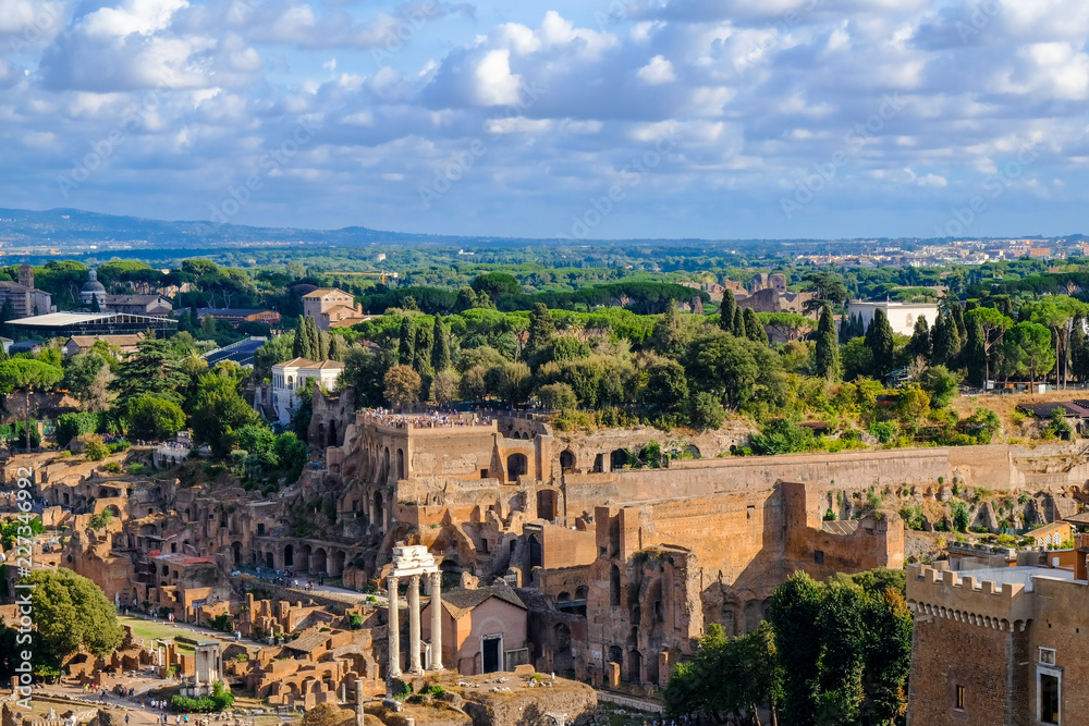 View of the Palatine Hill and the ruins of Ancient Rome.
