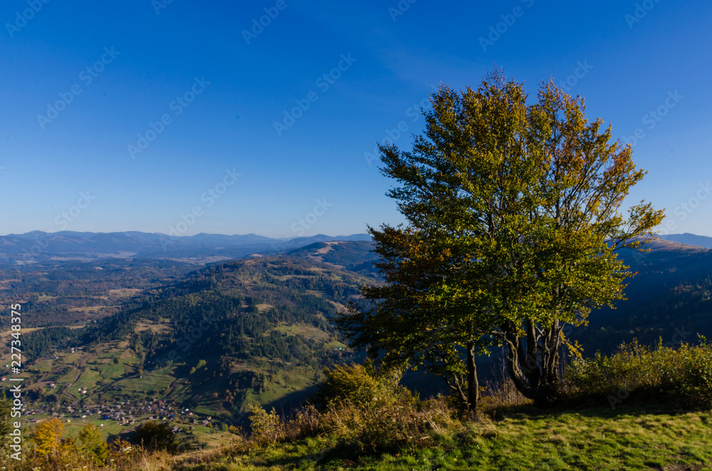 Carpathian mountains in sunny day in the autumn season Carpathian mountains in sunny day in the autumn season