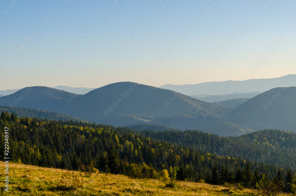 Obraz premium Carpathian mountains in sunny day in the autumn season
