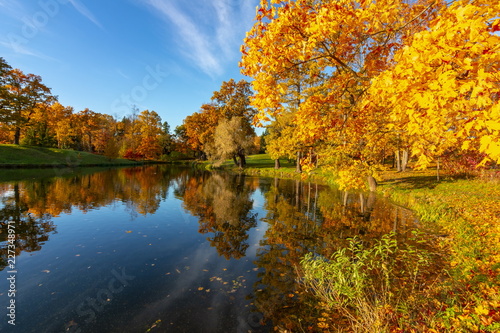 Fototapeta Naklejka Na Ścianę i Meble -  Golden autumn (fall) in Alexander park, Tsarskoe Selo (Pushkin) Saint Petersburg, Russia